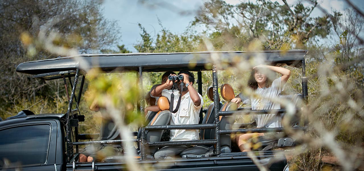 Safari in Sri Lanka