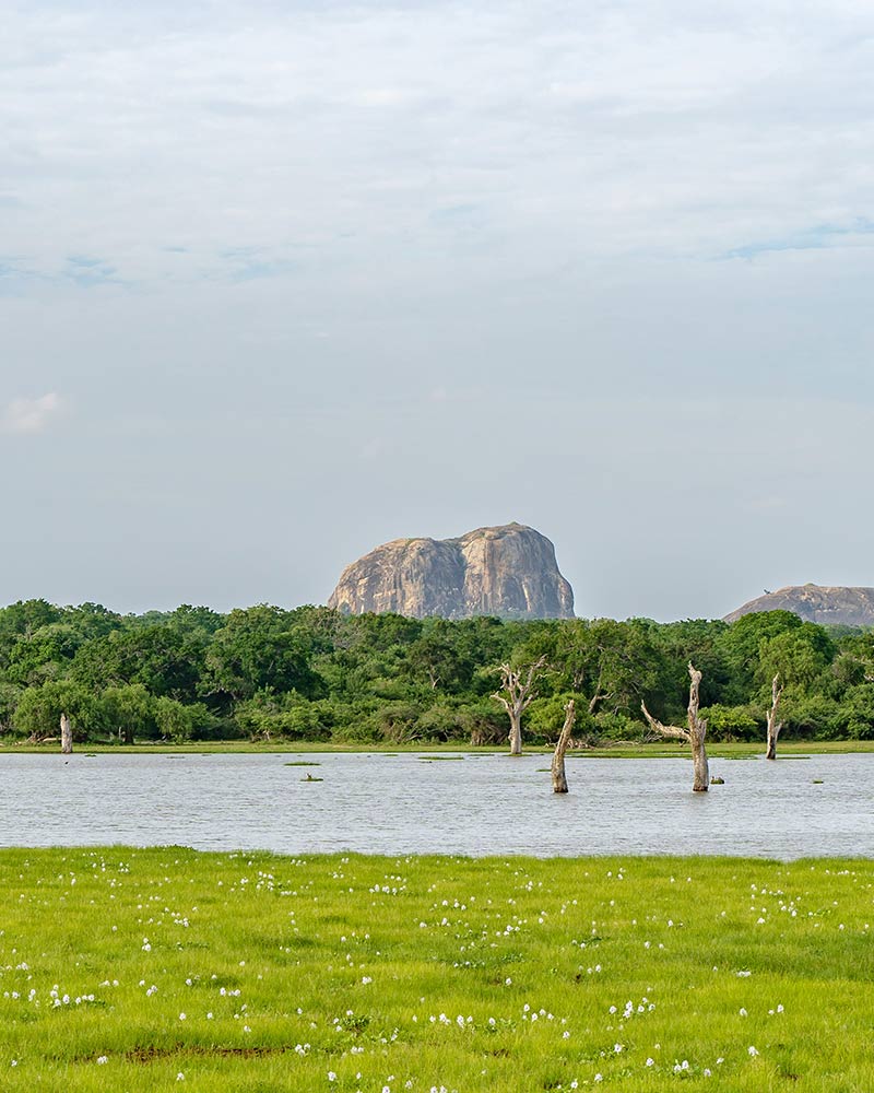 Five Things to Know About Yala’s Geology