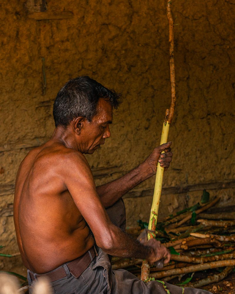 Ceylon Cinnamon - The Fragrant Soul of Sri Lanka