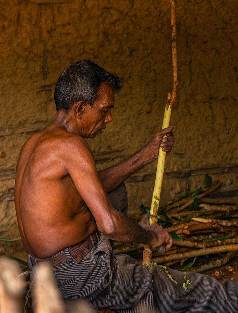 Ceylon Cinnamon - The Fragrant Soul of Sri Lanka