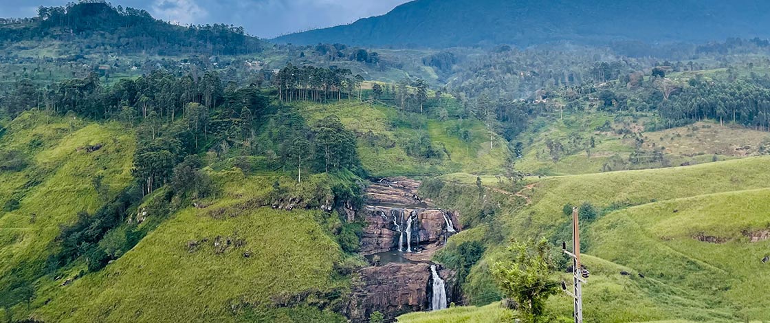 The Highlands of Tea