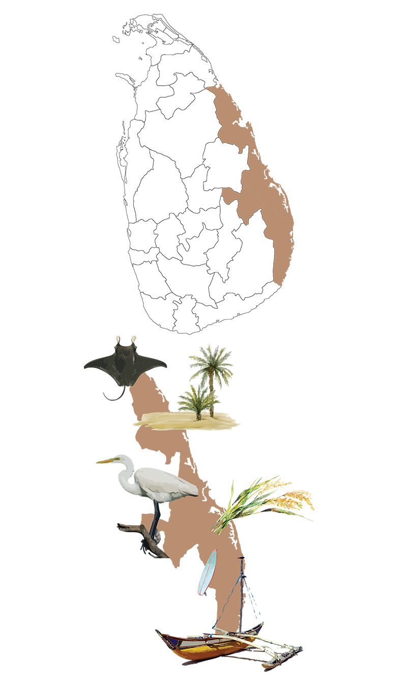 Trincomalee, Arugambay, Passikudah & Beyond