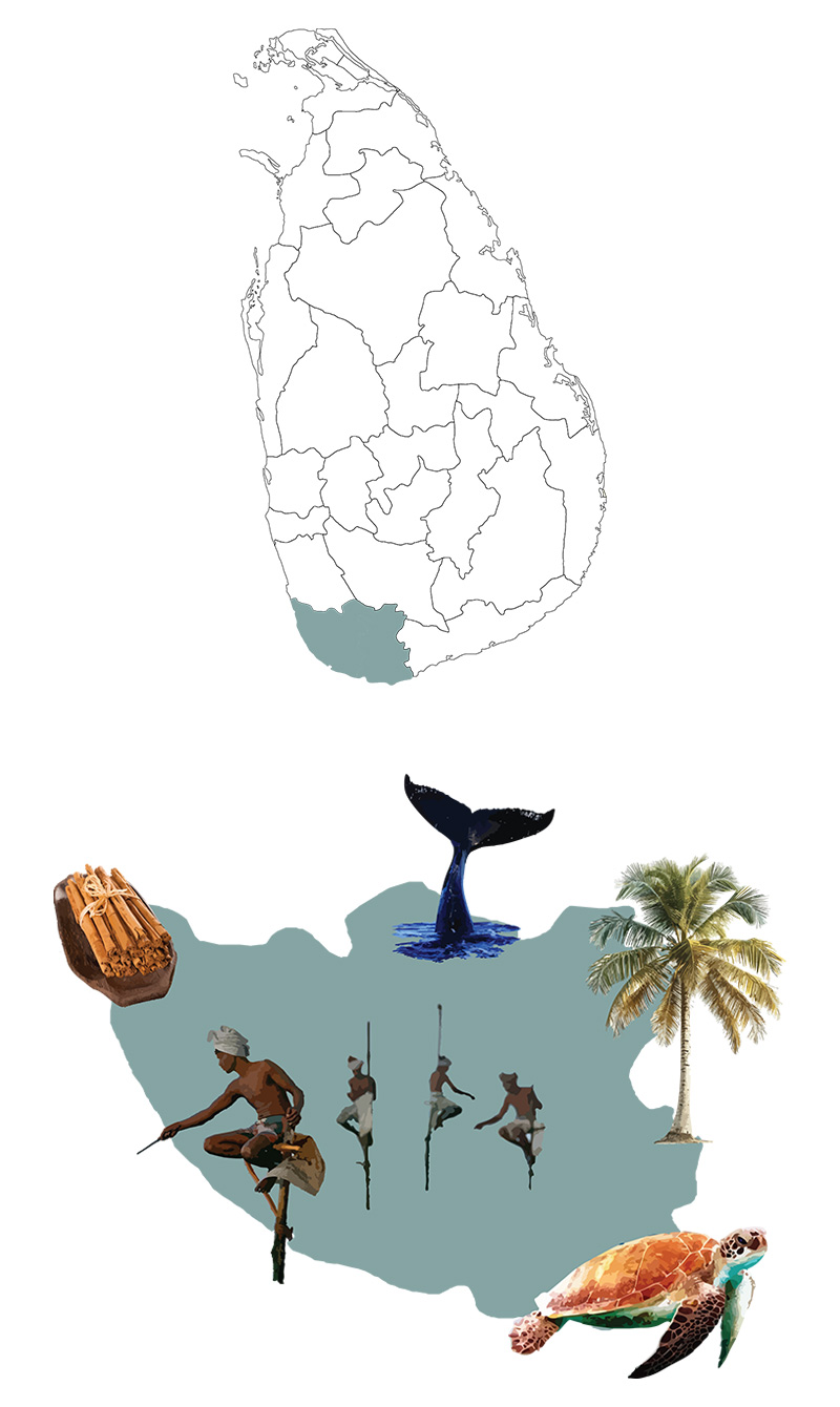 Galle, Weligama, Ahangama, Mirissa & Beyond