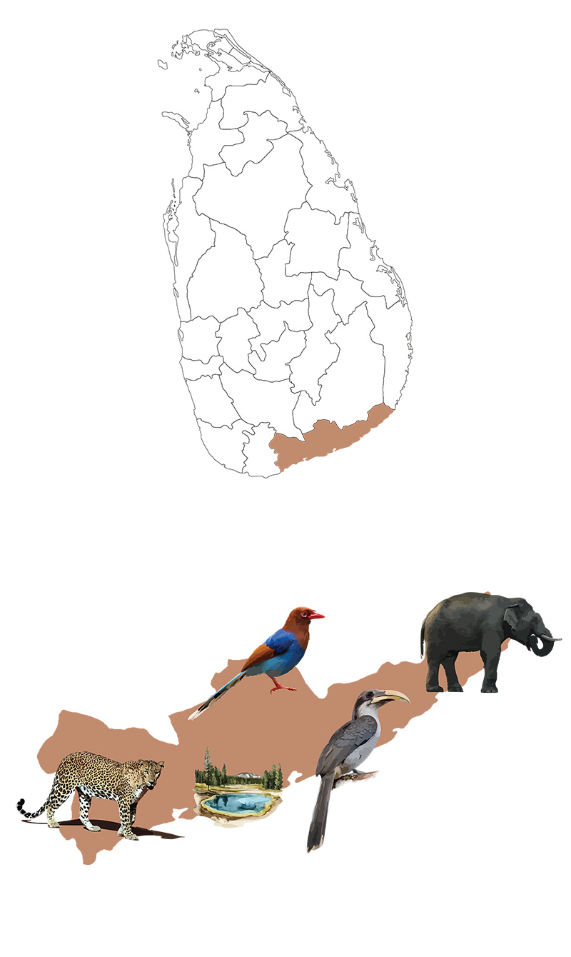 Yala, Udawalawe, Kumana, Bundala & Beyond