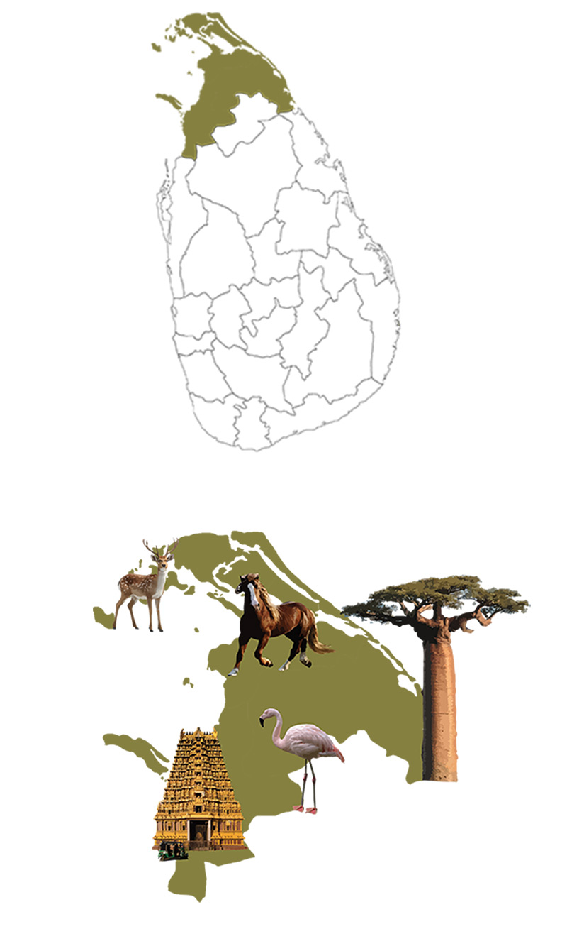 Jaffna, Mannar, Mullaitivu & Beyond