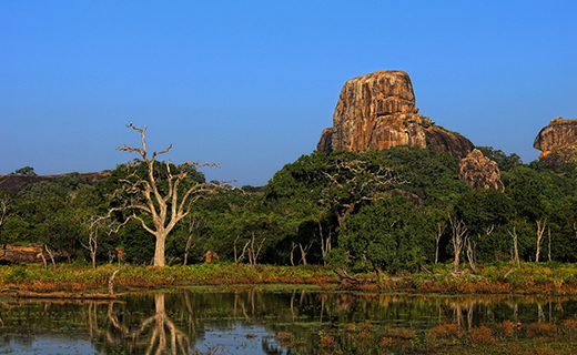 Untouched Wilderness