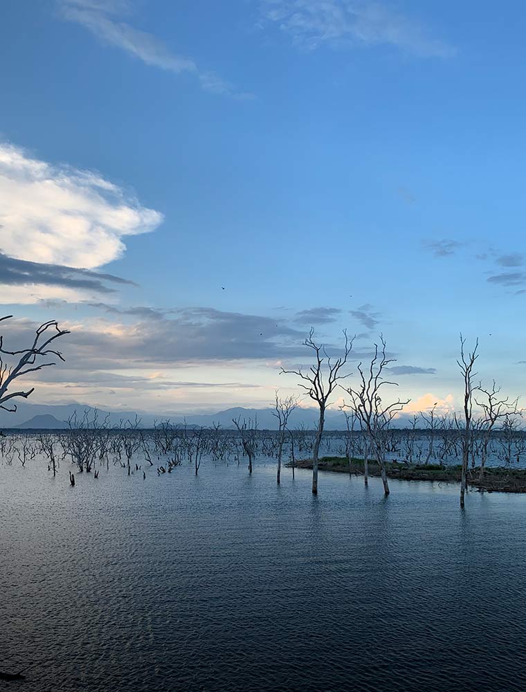 The Deep South