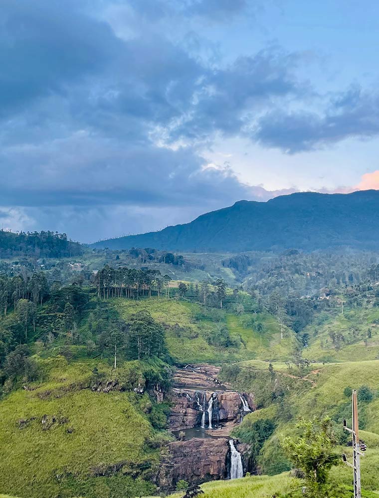 The Highlands of Tea